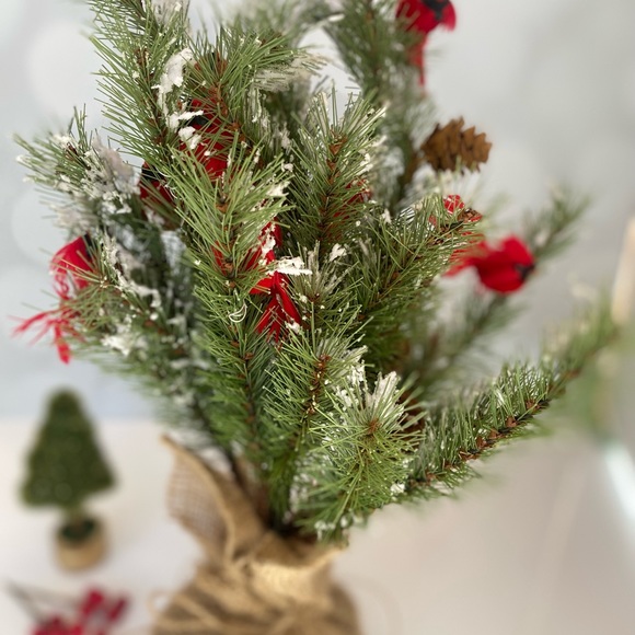 Brand new Raz Christmas tree with Cardinals